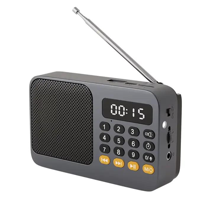 Bluetooth 5.0 FM Radio haut-parleur Portable avec lumière LED Support enregistrement carte TF USB Pl