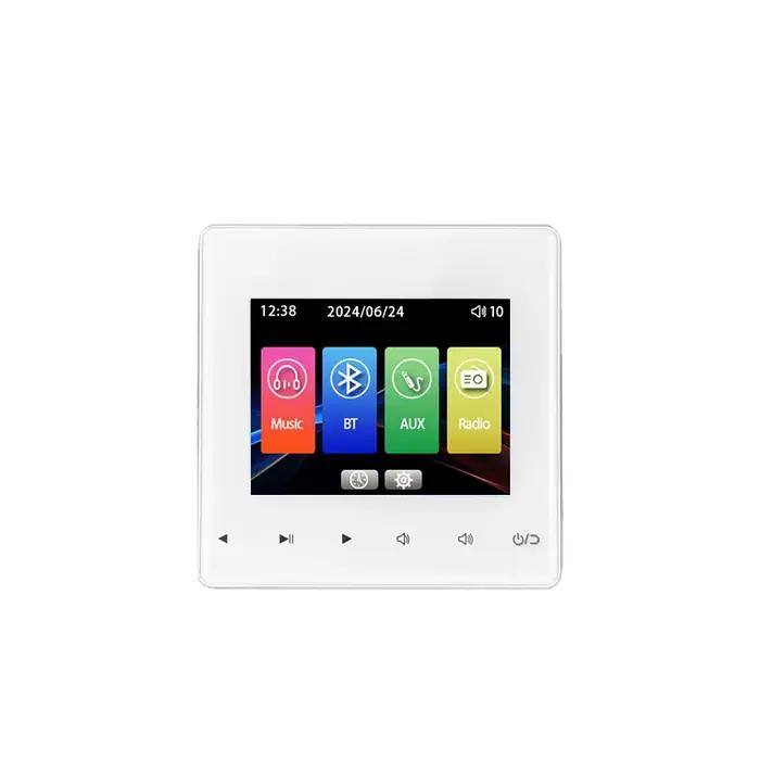 Système de musique d'ambiance pour home cinéma, amplificateur audio mural, lecteur Bluetooth, pannea
