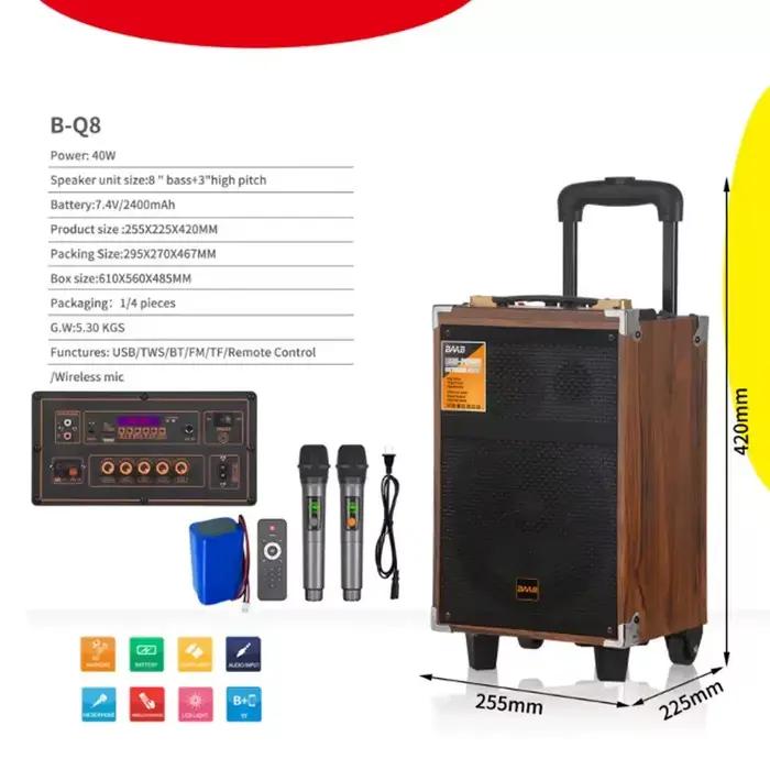 Haut-parleur portable mobile 6000W en bois avec microphone sans fil Bluetooth et subwoofer 12 pouces
