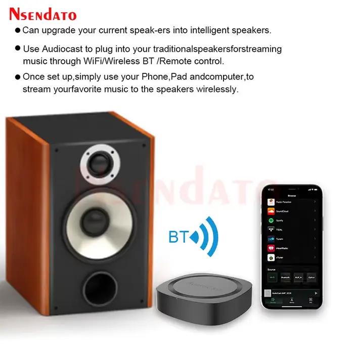 IEAST Audiocast Pro M20 sans fil WiFi Audio récepteur de musique Multi pièce Audio Wifi BT5.0 lecteu