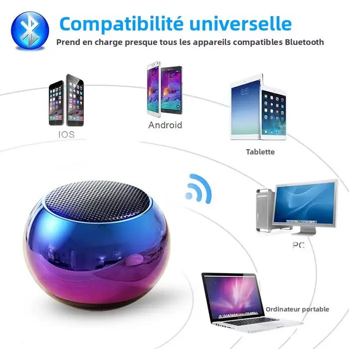 Mini haut-parleur Bluetooth avec micro
