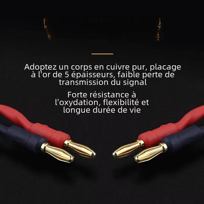 Câble audio haut-parleur