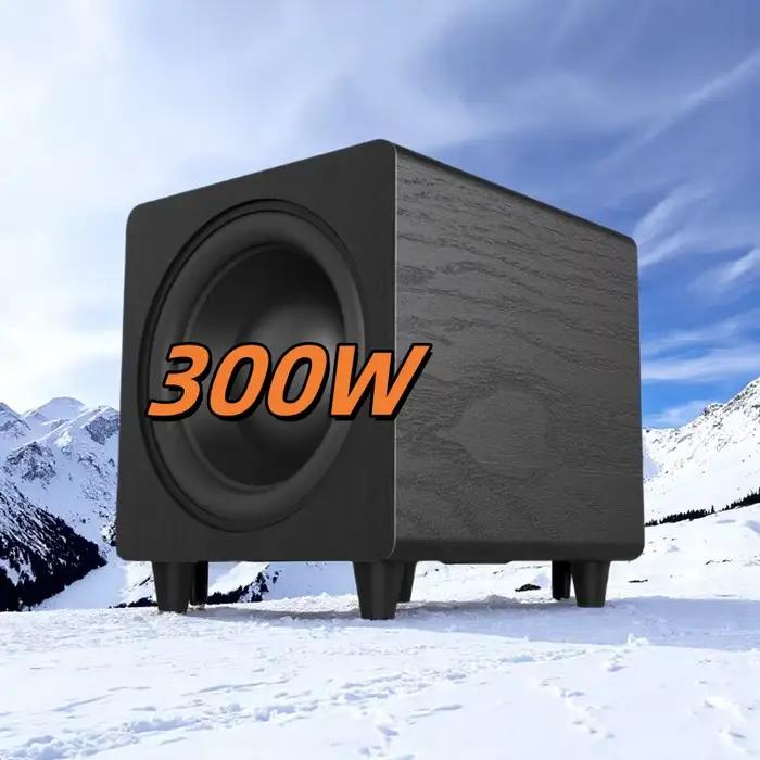 Ibass 10 pouces 300W caisson de basses haute puissance Home cinéma haut-parleur d'ordinateur Portable Transmission numérique qualité sonore sans perte TV