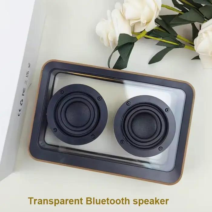 Haut-parleur Bluetooth Transparent créatif avec double klaxon