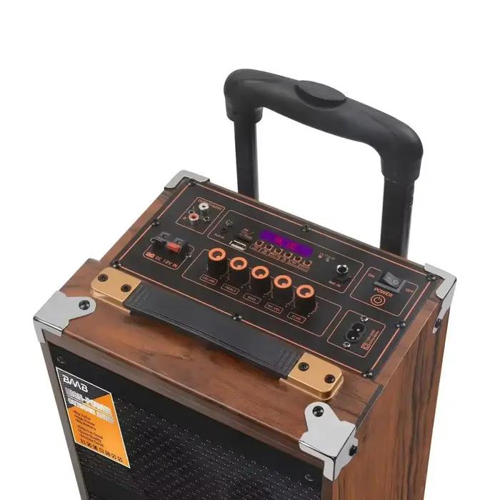 Haut-parleur portable mobile 6000W en bois avec microphone sans fil Bluetooth et subwoofer 12 pouces pour karaoké et danse en plein air
