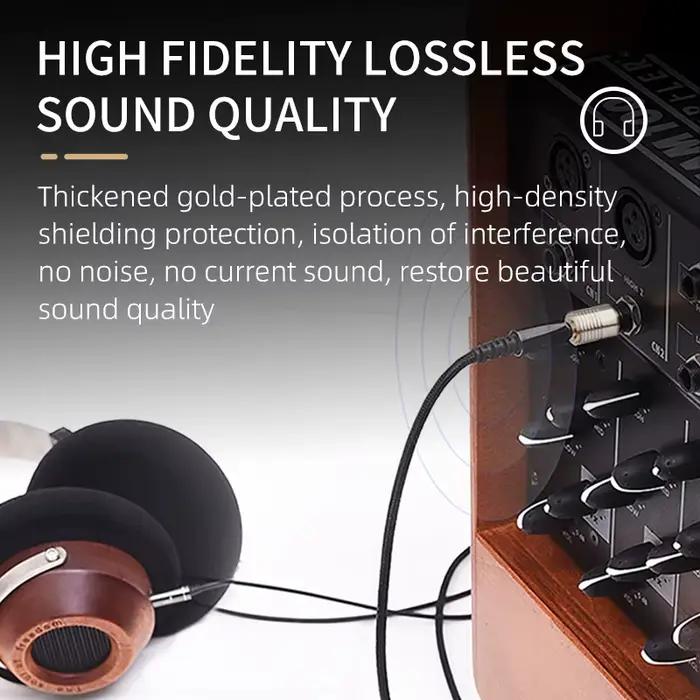 Convertisseur de prise audio pour haut-parleur