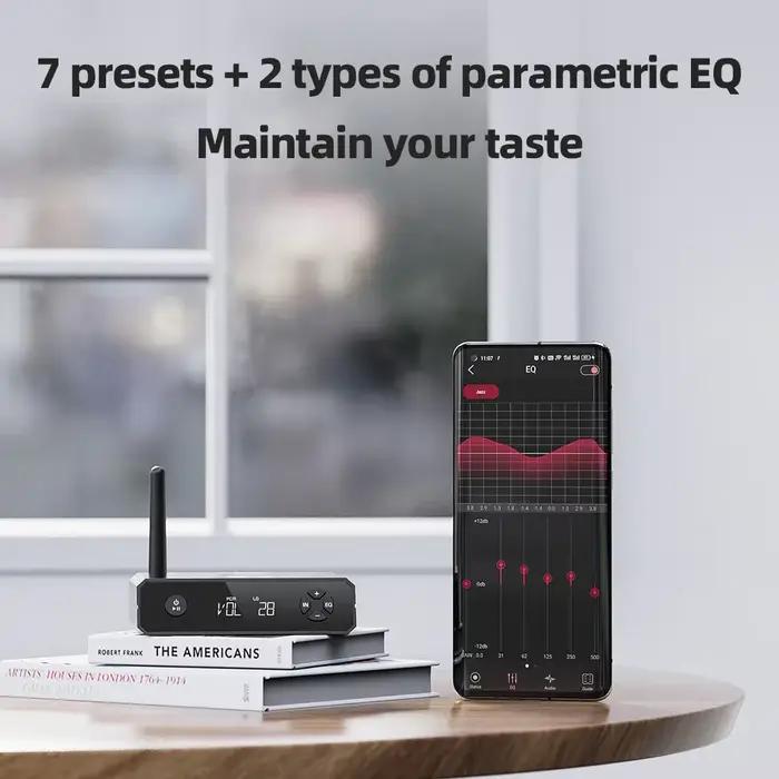 FiiO-Récepteur audio haute résolution BR13
