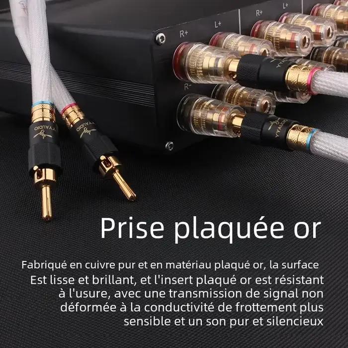 Câble de haut-parleur plaqué argent OCC