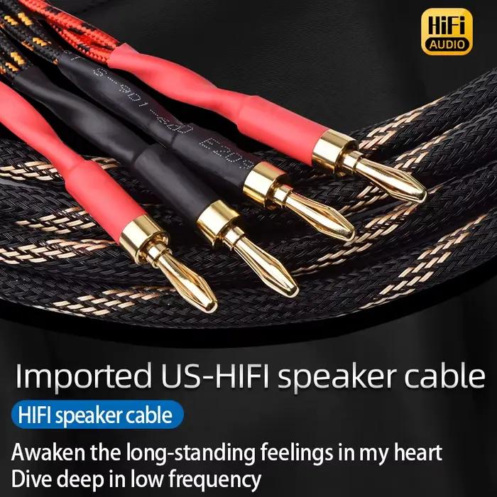 Une paire de câbles de haut-parleur HiFi