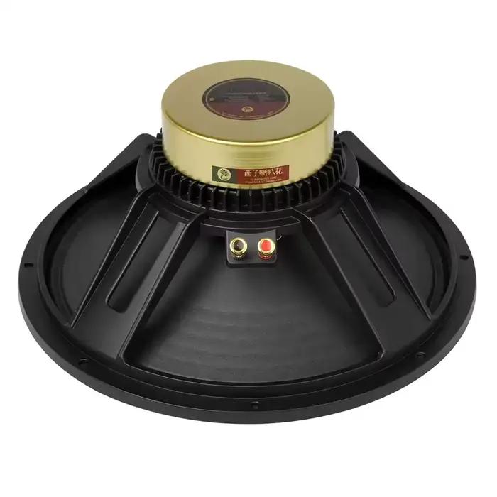 Haut-parleur LII AUDIO 2025 FAST-15 15 pouces 8ohm/50-80W pour musique haute qualité et événements familiaux