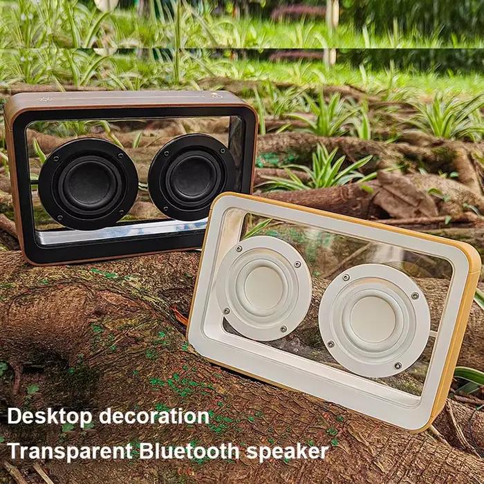 Haut-parleur Bluetooth Transparent créatif avec double klaxon