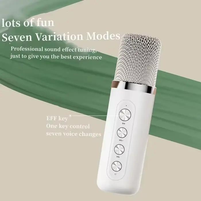 Haut-parleur Bluetooth sans fil Portable