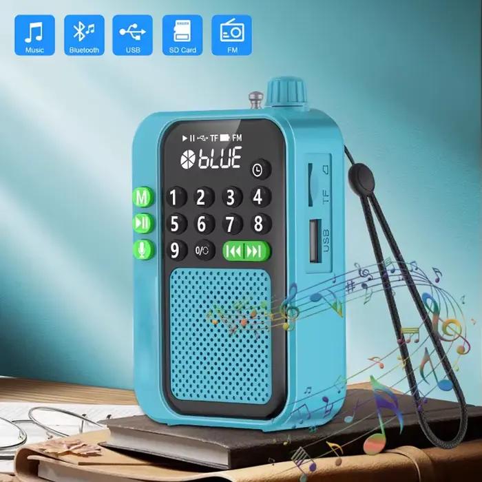 2025 Mini Radio meilleure réception Radios FM Portable sans fil Bluetooth haut-parleur HD enregistreur Support TF carte U disque minuterie hors