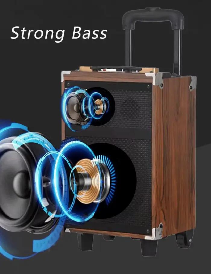 Haut-parleur portable mobile 6000W en bois avec microphone sans fil Bluetooth et subwoofer 12 pouces pour karaoké et danse en plein air