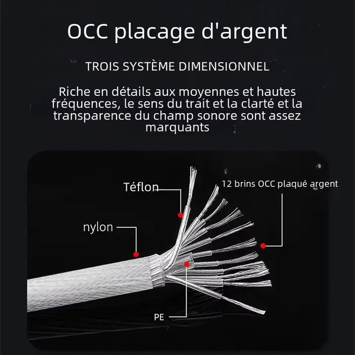 Câble de haut-parleur plaqué argent OCC