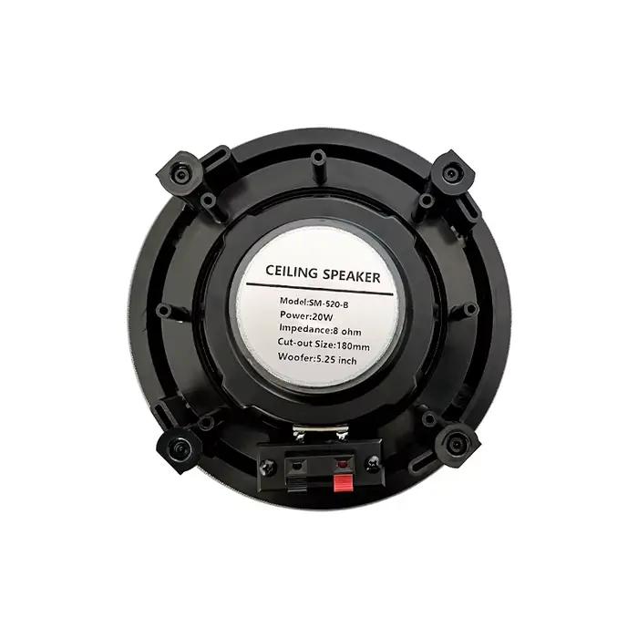 Haut-parleur de plafond coaxial de 5.25 pouces