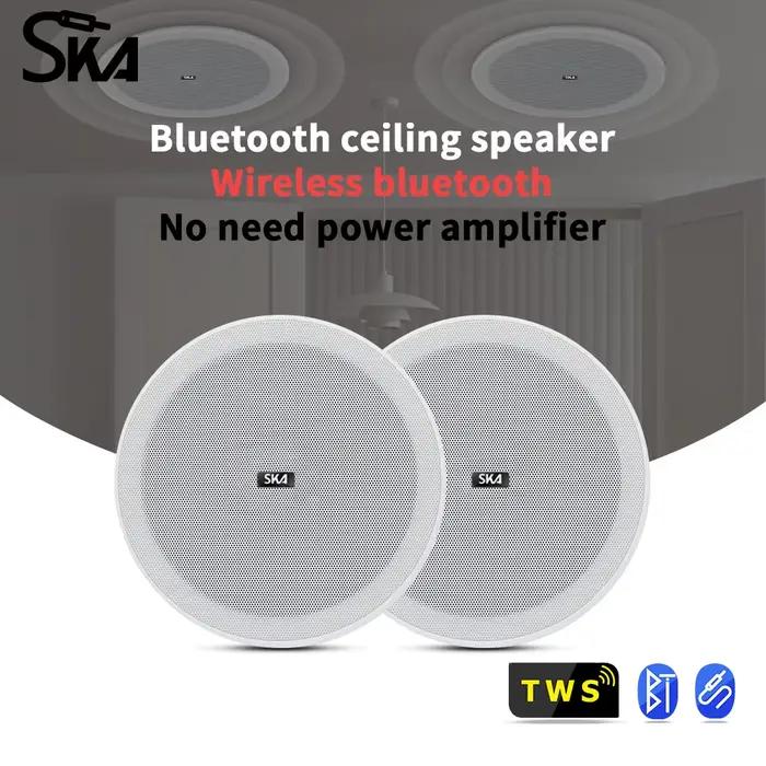Haut-parleur Bluetooth Encastrable au Plafond