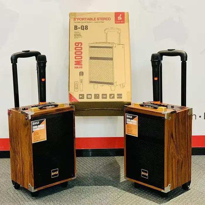 Haut-parleur portable mobile 6000W en bois avec microphone sans fil Bluetooth et subwoofer 12 pouces pour karaoké et danse en plein air