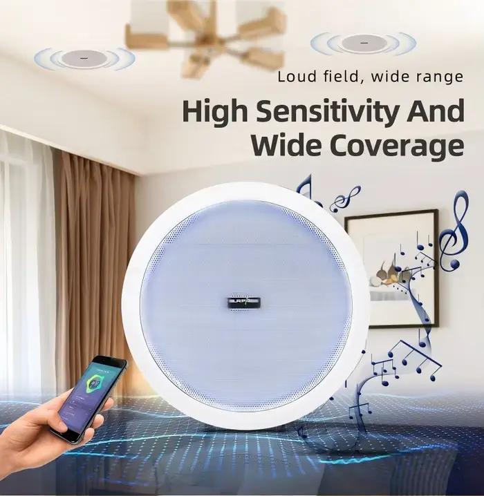 Haut-parleur Bluetooth domestique et commercial 40W