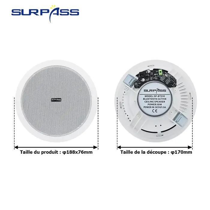 Haut-parleur Bluetooth de plafond étanche 10W 6inch Amplificateur numérique de classe D intégré