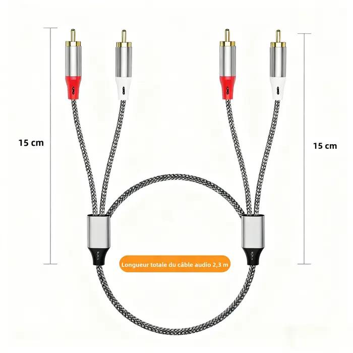 Câble audio double RCA