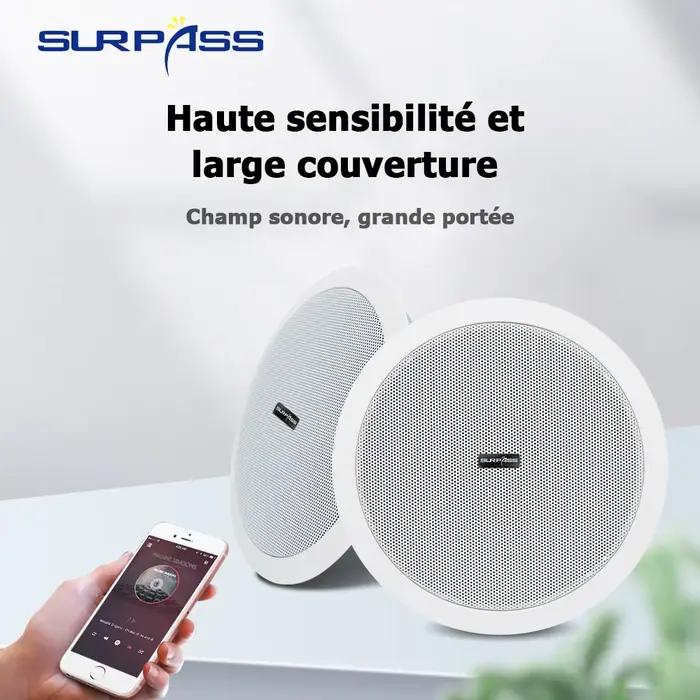 Haut-parleur Bluetooth de plafond étanche 10W 6inch Amplificateur numérique de classe D intégré