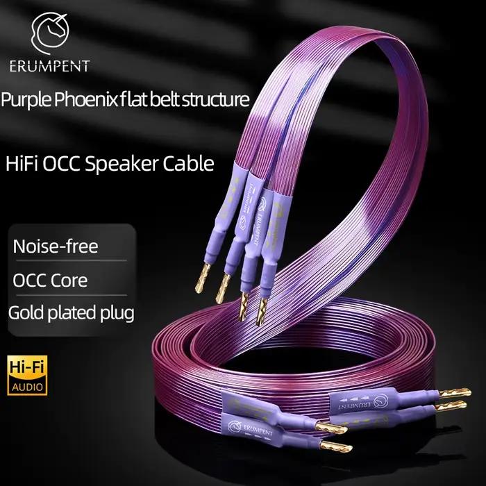 Câble de haut-parleur HiFi OCC ceinture plate en cuivre pur haut de gamme avec fiches banane Y dentelées plaquées or massif pour amplificateur de haut-parleur pour audiophile ocasions spéciales