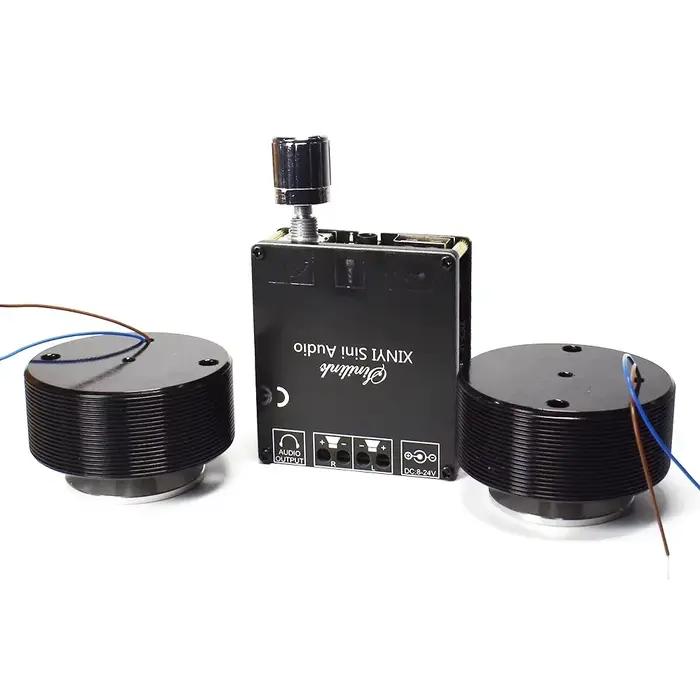1 ensemble 50W 2.0 HIFI Vibration haut-parleur Portable stéréo Audio