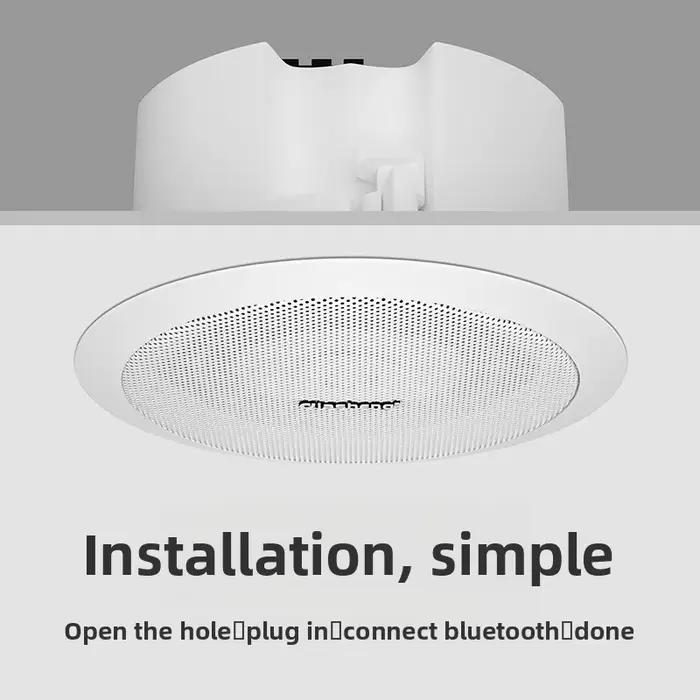 Haut-parleur de plafond sans fil Bluetooth avec subwoofer intégré pour usage à la maison, bureau et espaces commerciaux occasions spéciales