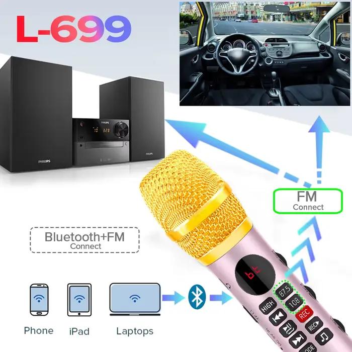 Lewinner L-699 Microphone karaoké professionnel haut-parleur sans fil