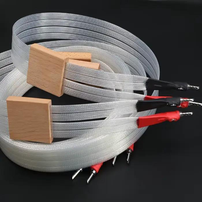 une paire de câbles de klaxon pour haut-parleur hifi V 2