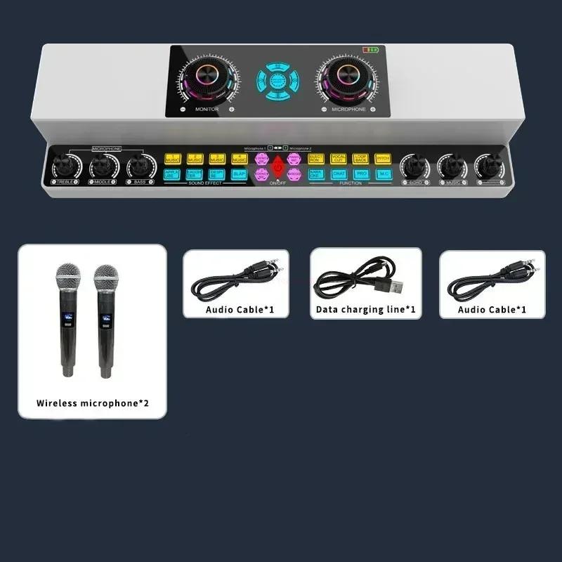 Bgn-y6001 haut-parleur Bluetooth carte son karaoké sans fil intégré intérieur et extérieur danse car